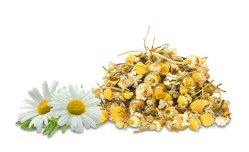 Platinum Συστατικά 88 Platinum - Μαγειρεμένη Ξηρά Τροφή tt ingredients camomile