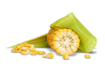 Platinum Συστατικά 92 Platinum - Μαγειρεμένη Ξηρά Τροφή tt ingredients corn