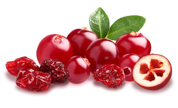 Platinum Συστατικά 93 Platinum - Μαγειρεμένη Ξηρά Τροφή tt ingredients cranberry