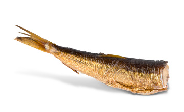 Platinum Συστατικά 97 Platinum - Μαγειρεμένη Ξηρά Τροφή tt ingredients dried fish