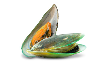Platinum Συστατικά 99 Platinum - Μαγειρεμένη Ξηρά Τροφή tt ingredients green lipped mussel