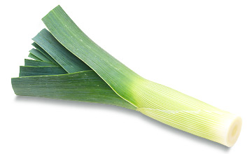 Platinum Συστατικά 104 Platinum - Μαγειρεμένη Ξηρά Τροφή tt ingredients leek