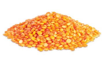 Platinum Συστατικά 105 Platinum - Μαγειρεμένη Ξηρά Τροφή tt ingredients lentils