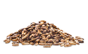 Platinum Συστατικά 106 Platinum - Μαγειρεμένη Ξηρά Τροφή tt ingredients milk thistle seed