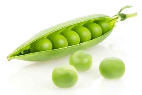Platinum Συστατικά 109 Platinum - Μαγειρεμένη Ξηρά Τροφή tt ingredients pea