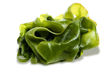 Platinum Συστατικά 117 Platinum - Μαγειρεμένη Ξηρά Τροφή tt ingredients seaweed