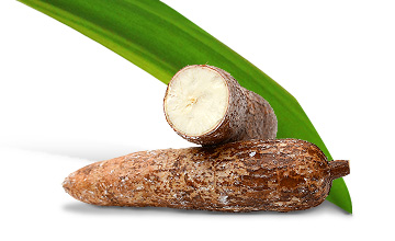 Platinum Συστατικά 123 Platinum - Μαγειρεμένη Ξηρά Τροφή tt ingredients yucca