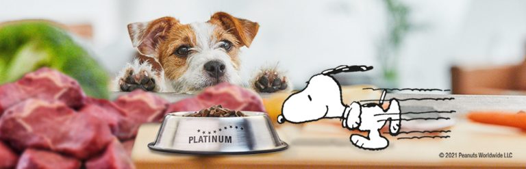 Τα σκυλιά χρειάζονται κρέας 11 Platinum - Μαγειρεμένη Ξηρά Τροφή header linktree fsg 1600px