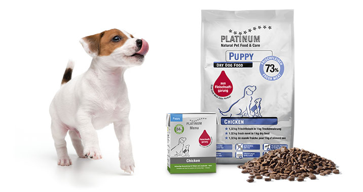 highlight puppy welpe trockenfutter nassfutter 715x380 1